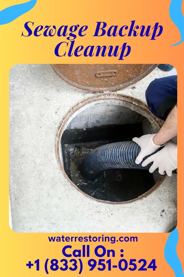 Sewage Backup Cleanup in Upper Saddle River, NJ
