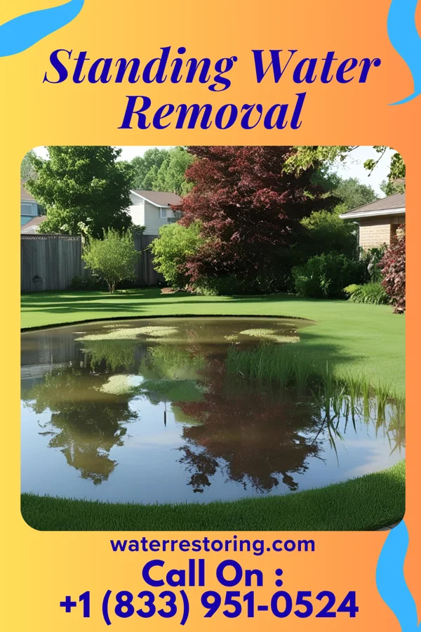 Standing Water Removal in Upper Saddle River, NJ